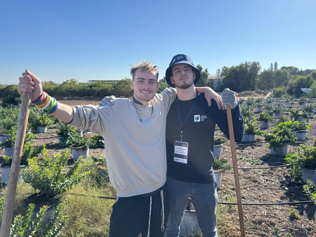 Yavneh Fellows planting trees with JNF-USA in the south of Israel 